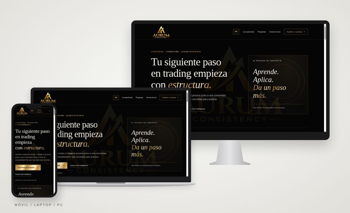 Aurum Consulting Group: página web real en móvil, laptop y monitor de PC